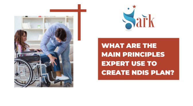 What Are The Main Principles Expert Use To Create NDIS Plan?